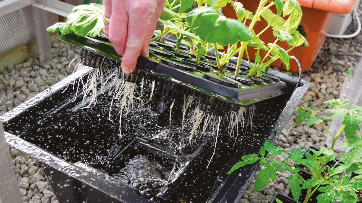 Growing Systems