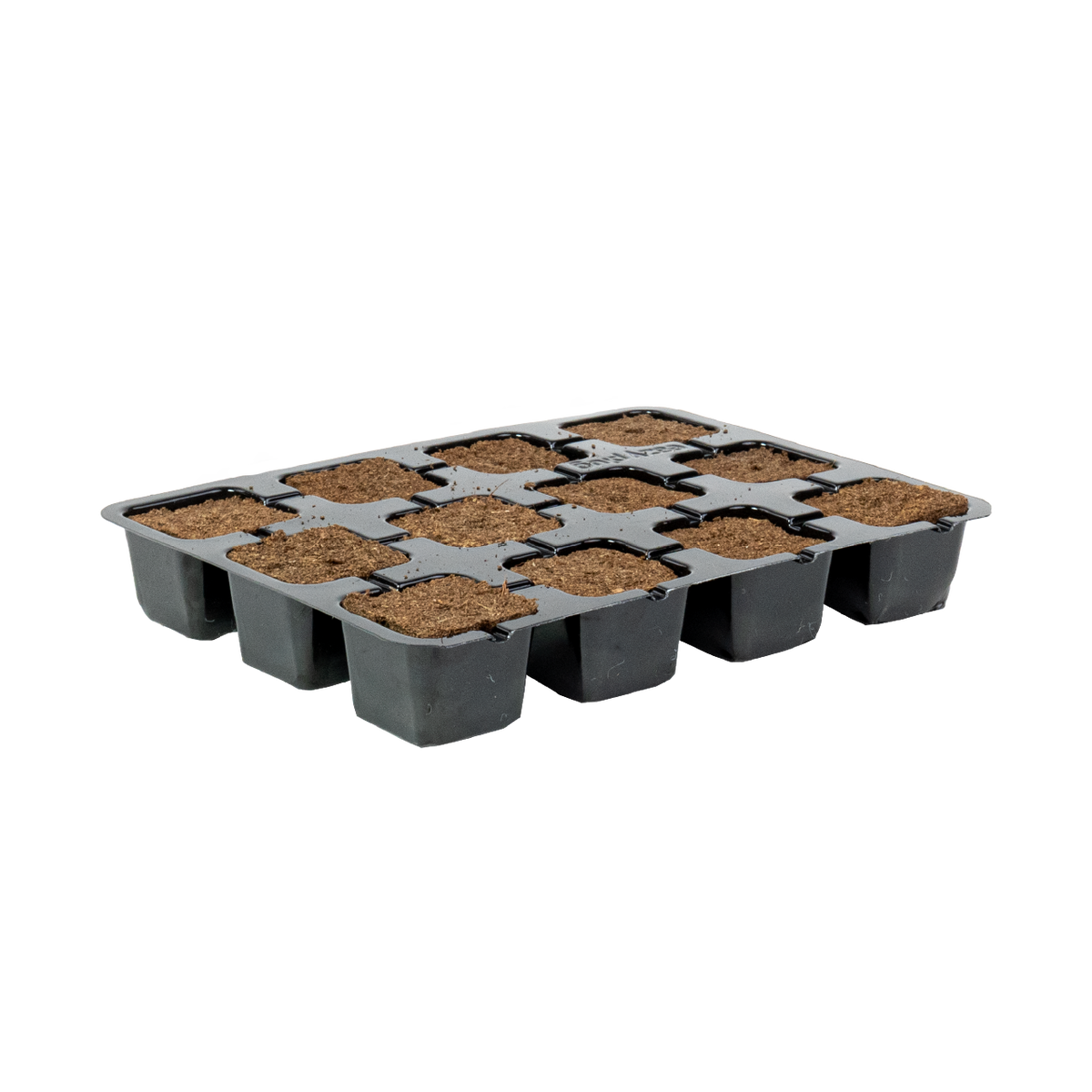 Eazy Plug Media Trays - Eazy Plug Tray CT12 - Tray of 12 (77s)