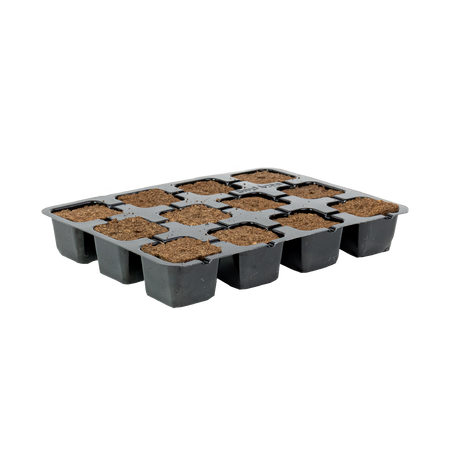 Eazy Plug Media Trays - Eazy Plug Tray CT12 - Tray of 12 (77s)