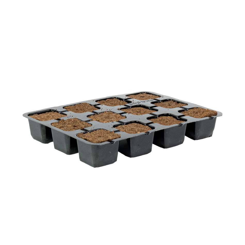 Eazy Plug Media Trays - Eazy Plug Tray CT12 - Tray of 12 (77s)
