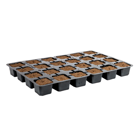Eazy Plug Media Trays - Eazy Plug Tray CT24 - Tray of 24 (77s)