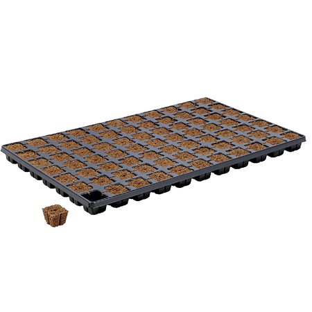 Eazy Plug Media Trays - Eazy Plug CT77 - Tray of 77