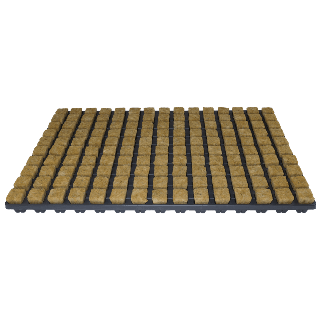 Cultiwool Media - CRB (SBS) 25 mm/1" (150/Tray, 18 Trays per Box)