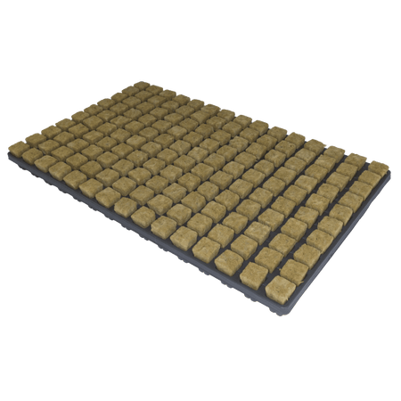 Cultiwool Media - CRB (SBS) 36 mm/1.5" (77/Tray, 18 Trays per Box)