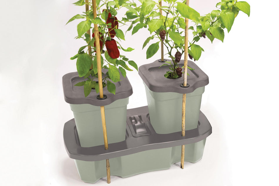 Quadgrow Self Watering Planter