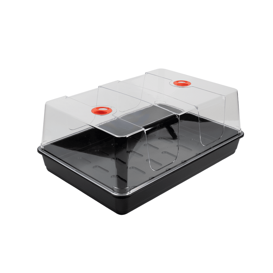Garland Propagator