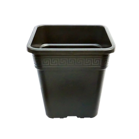 Premium Vega Square Pots - 6 L