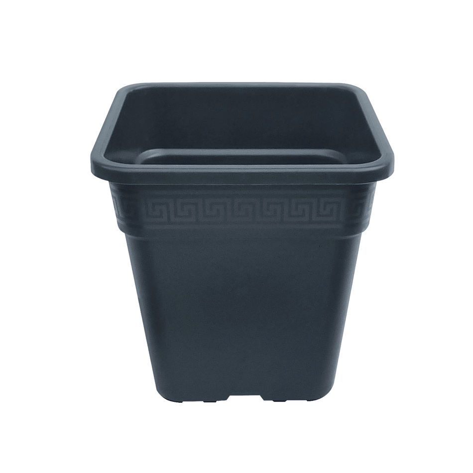 Premium Vega Square Pots