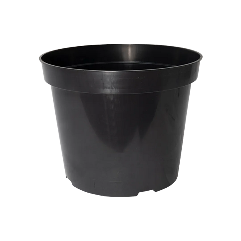 Round Pot