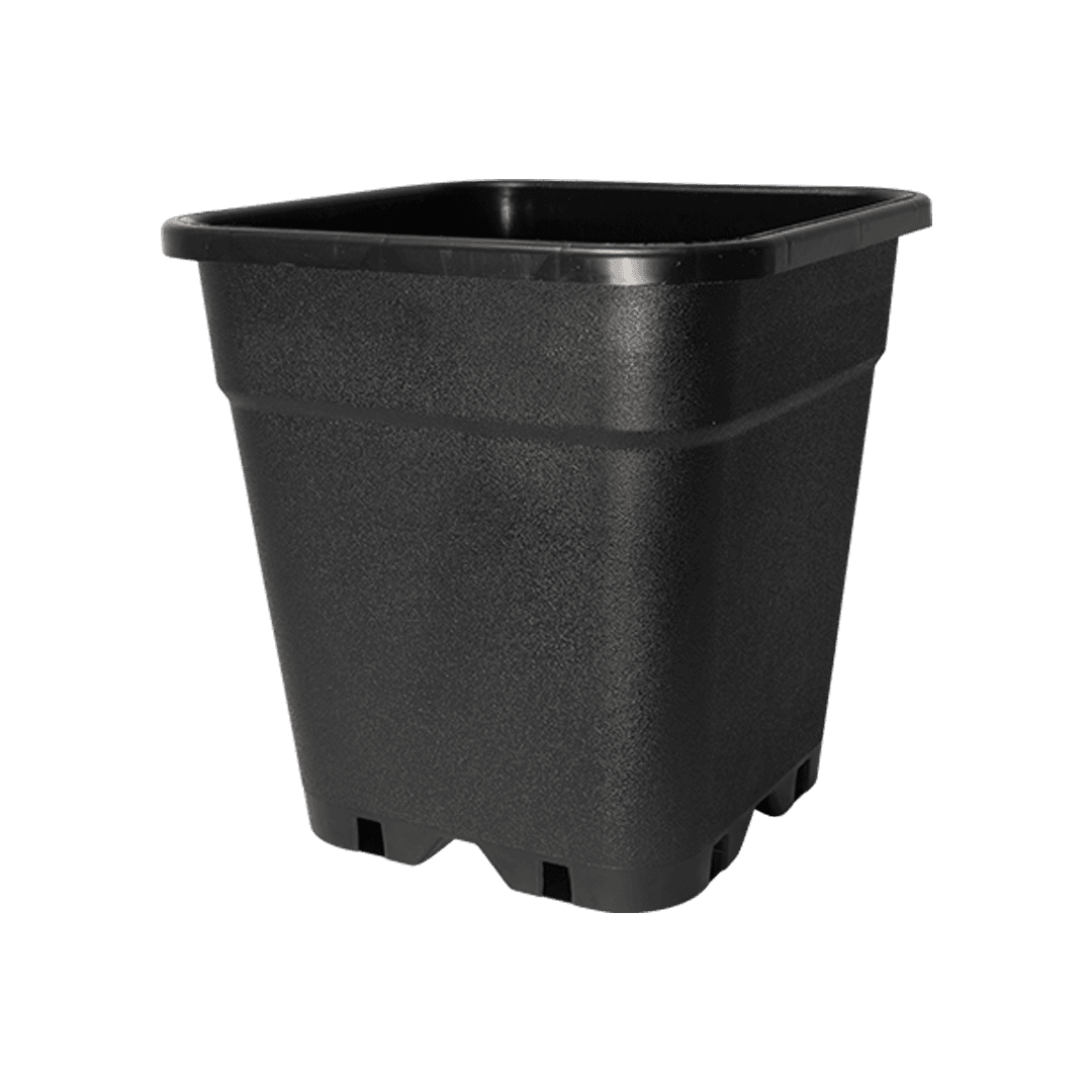 Square Pot 