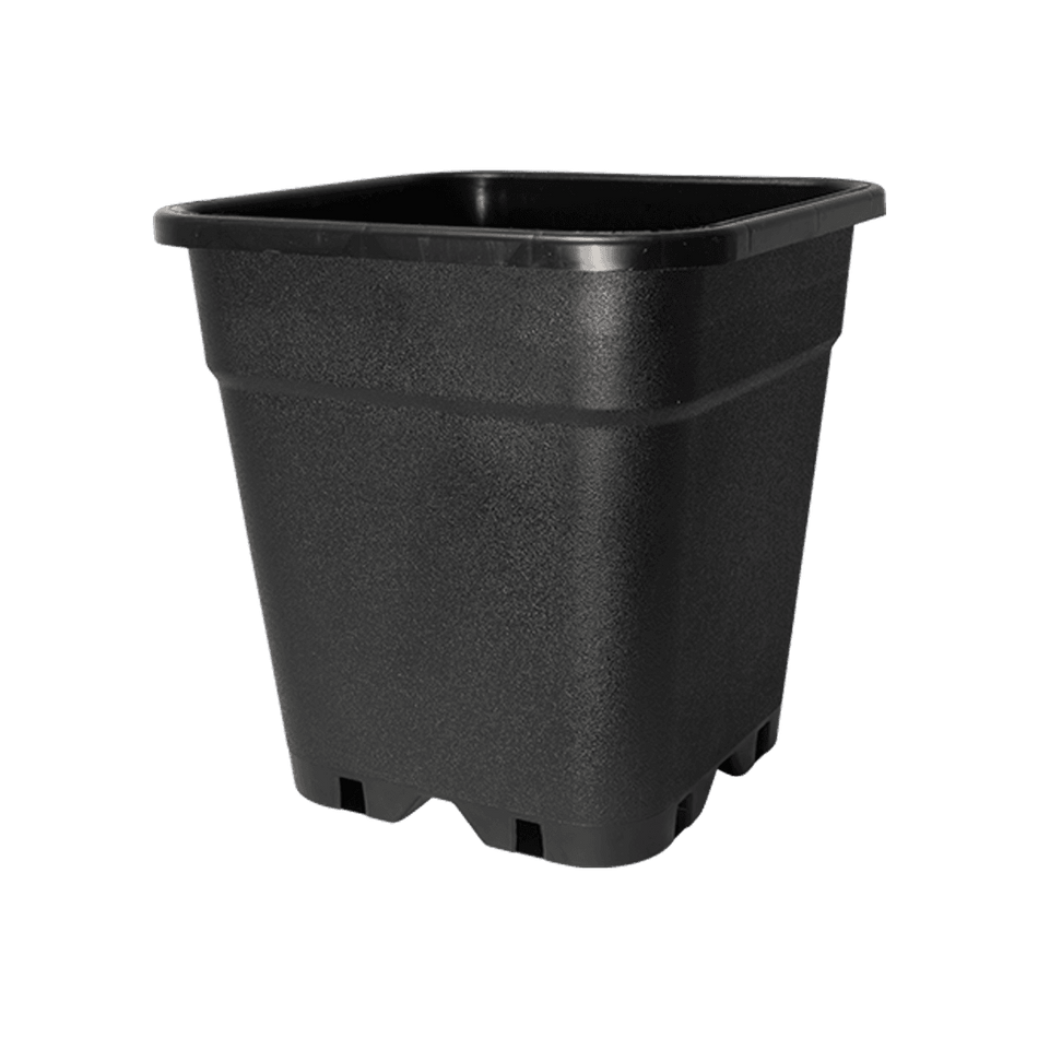 Square Pot 
