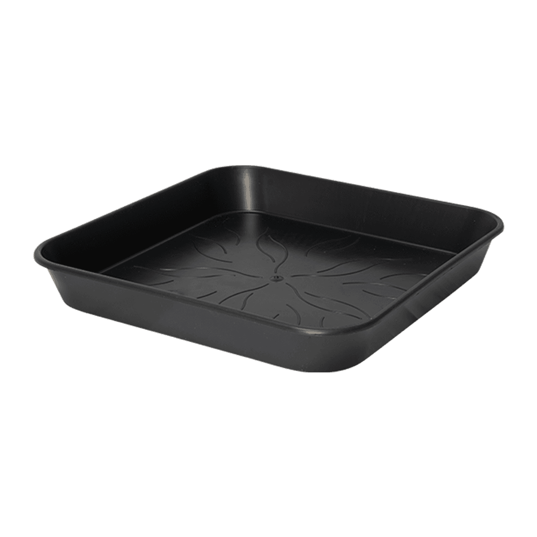 Square Saucers - 17 cm