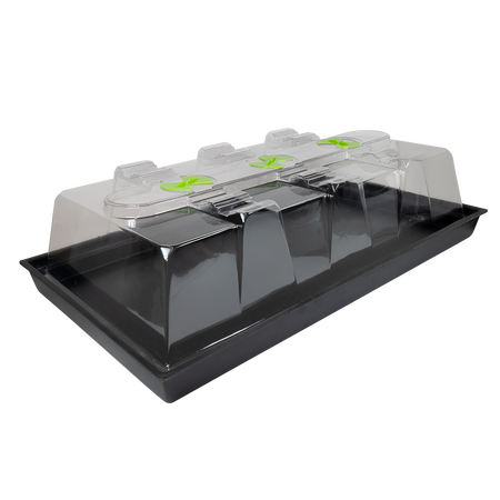 X-Stream Heat Propagator - Large Heat