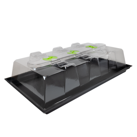 X-Stream Heat Propagator - Large Heat Variable