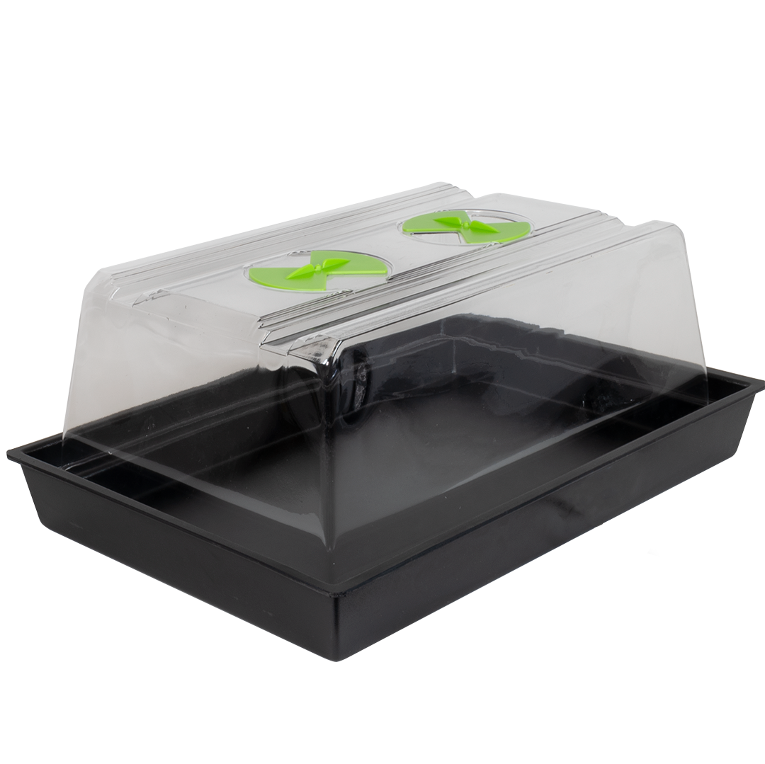 X-Stream Heat Propagator - Base - Small Heated Base