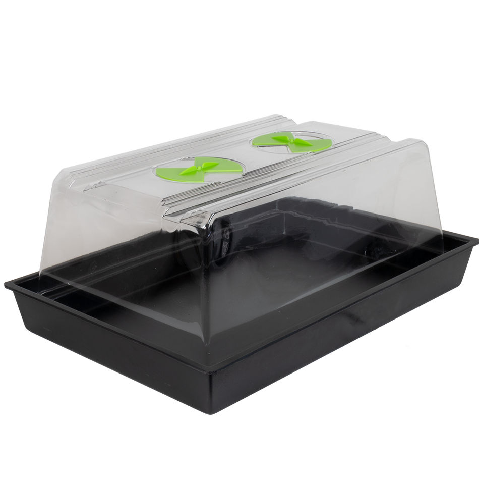 X-Stream Heat Propagator - Base - Small Heated Base