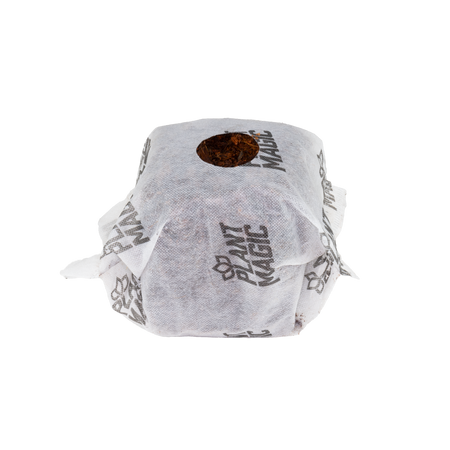 plant magic propagation cube