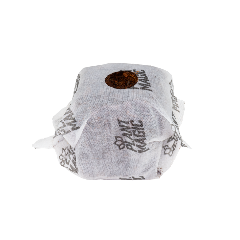 plant magic propagation cube